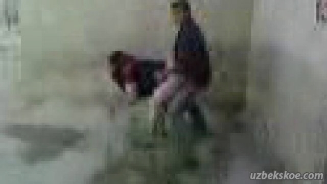 ��������� ����������� �� ����� 